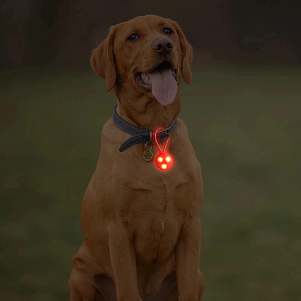Açık Hava Sırt Çantası Işıklar - Outdoor Camping Lights String incelemesi ve fiyatı
